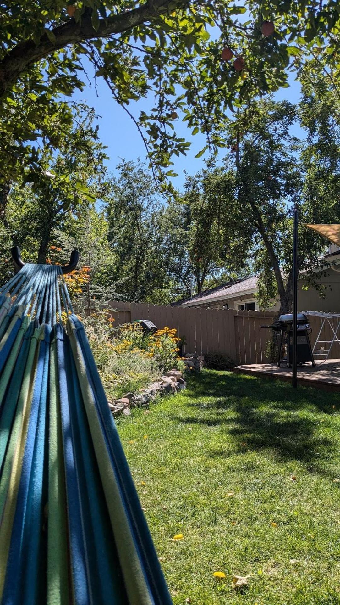 The Midtown Reno Orchard Villa Exterior photo